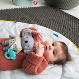 TAF TOYS Kimmy el Koala - Simon Dice