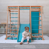 Centro motor y sensorial - Triangulo