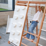 Centro motor y sensorial - Triangulo