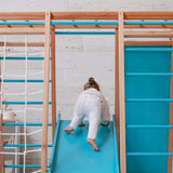 Centro motor y sensorial - Triangulo