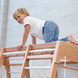 Centro motor y sensorial - Triangulo