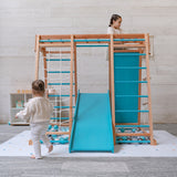 Centro motor y sensorial - Triangulo