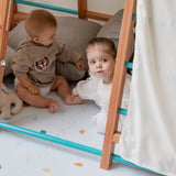 Centro motor y sensorial - Triangulo