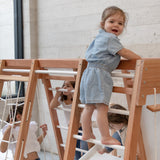 Centro motor y sensorial - Triangulo