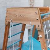 Centro motor y sensorial - Triangulo