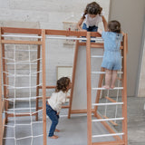 Centro motor y sensorial - Triangulo