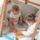 Centro motor y sensorial - Triangulo