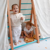 Centro motor y sensorial - Triangulo