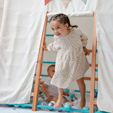 Centro motor y sensorial - Triangulo