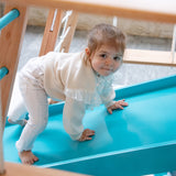 Centro motor y sensorial - Triangulo