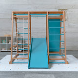 Centro motor y sensorial - Triangulo