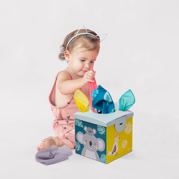 Caja de Pañuelos para Bebé Kimmy el Koala TAF TOYS